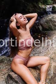 Call Girls in Gurgaon Sector 85 Gurgaon 8447779280