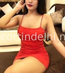 Call Girls in Radisson Blu MBD Hotel, Noida  93,,153=64521 Es...